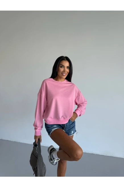 İki İplik Bisiklet Yaka Pudra Sweatshirt