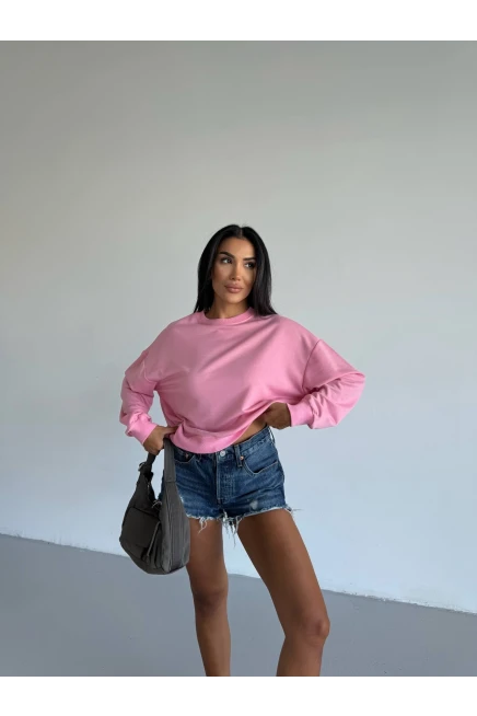 İki İplik Bisiklet Yaka Pudra Sweatshirt