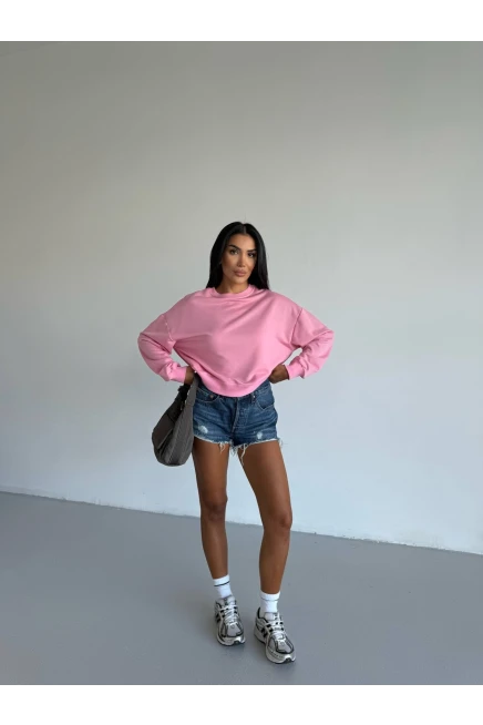 İki İplik Bisiklet Yaka Pudra Sweatshirt