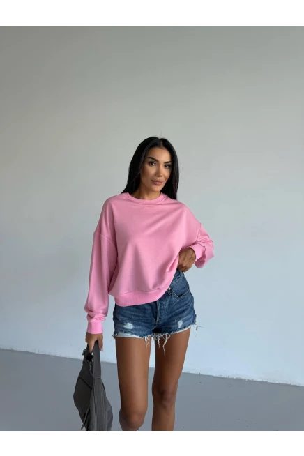 İki İplik Bisiklet Yaka Pudra Sweatshirt